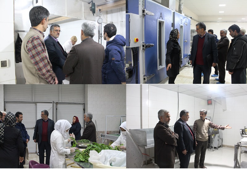بازدید معاون غذا و دارو از واحد های تولید و بسته بندی مواد غذایی در استان