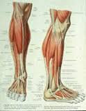 سندروم پای بی قرار و کرامپ های عضلانی، 2 علامت وریدهای واریسی