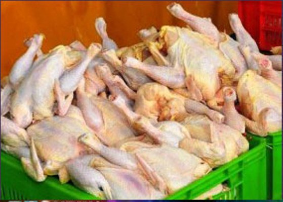 مرغ و ماهی شب عید را از فروشگاه های دارای مجوز دامپزشکی خریداری کنید.