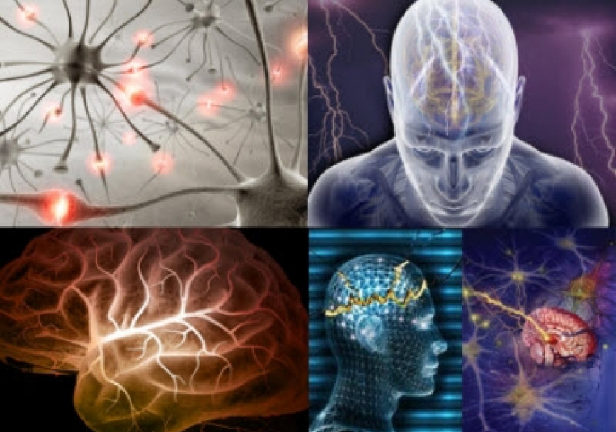 مبتلایان به سکته مغزی و ام اس، بیشترین مراجعه کنندگان به بخش نورولوژی
