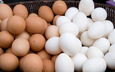 تخم مرغ، یک منبع غذایی کامل است