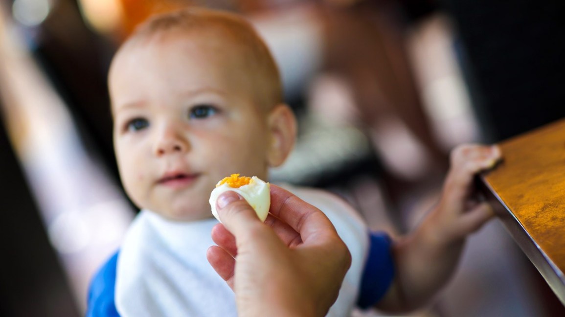 گنجاندن تخم مرغ در برنامه غذایی کودکان را فراموش نکنید