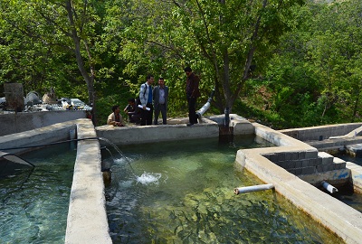 بازدید مشترک از مرکز پرورش ماهی قزل آلا روستای زوعلیا
