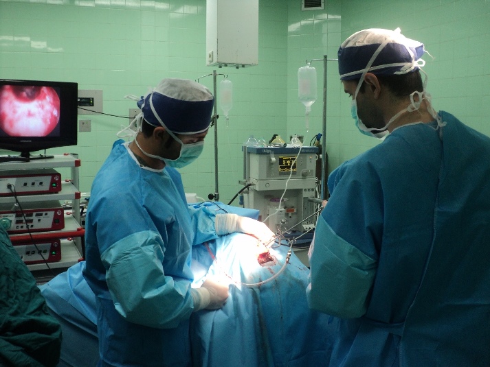 عمل موفقیت آمیز جراحی مغز به روش اندوسکوپی